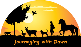 Journeying with Dawn logo